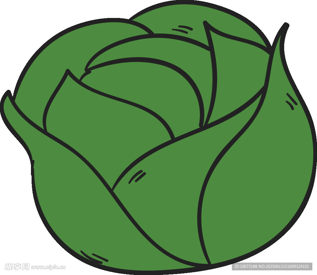 卡通卷心菜插畫