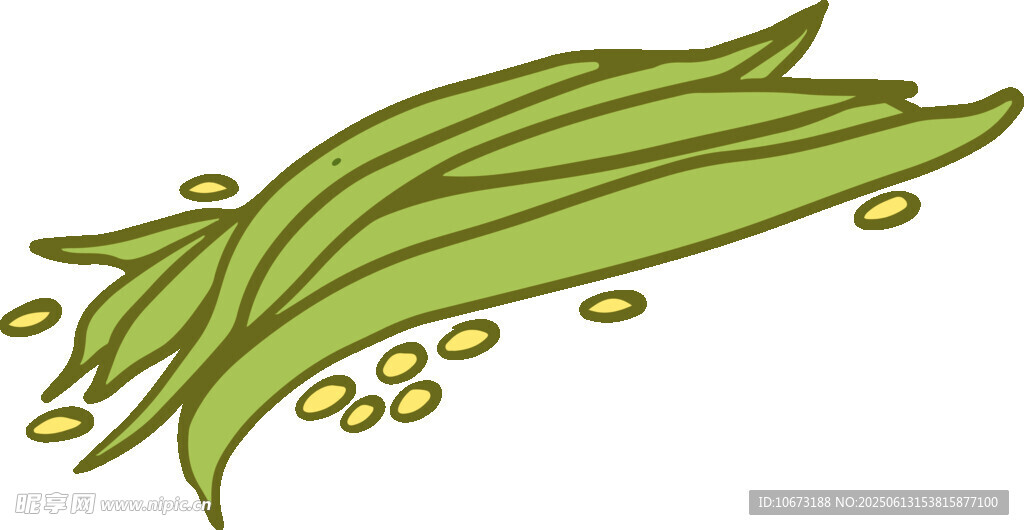 翠綠豆角與散落豆粒