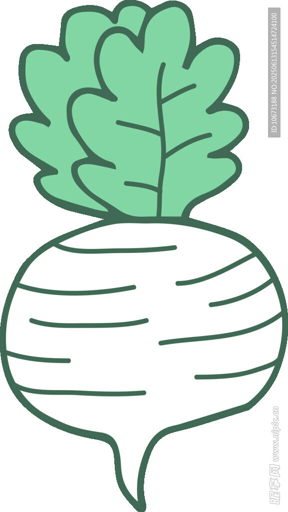 卡通白蘿卜插畫