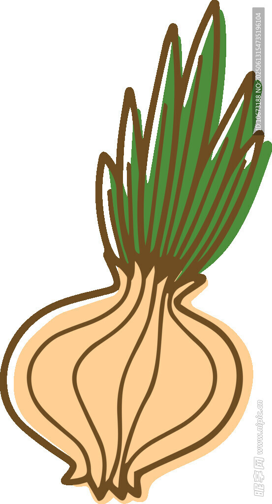 卡通洋蔥插畫