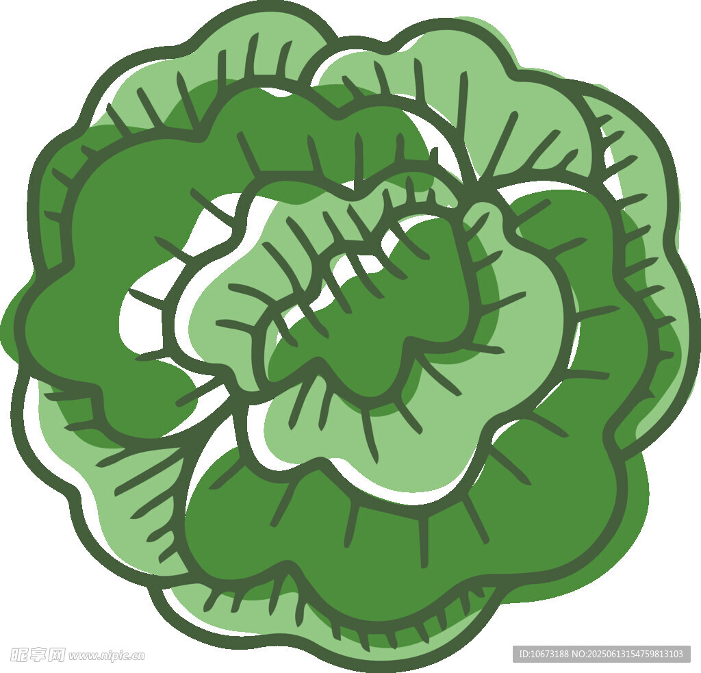卡通風(fēng)格綠色卷心菜插畫