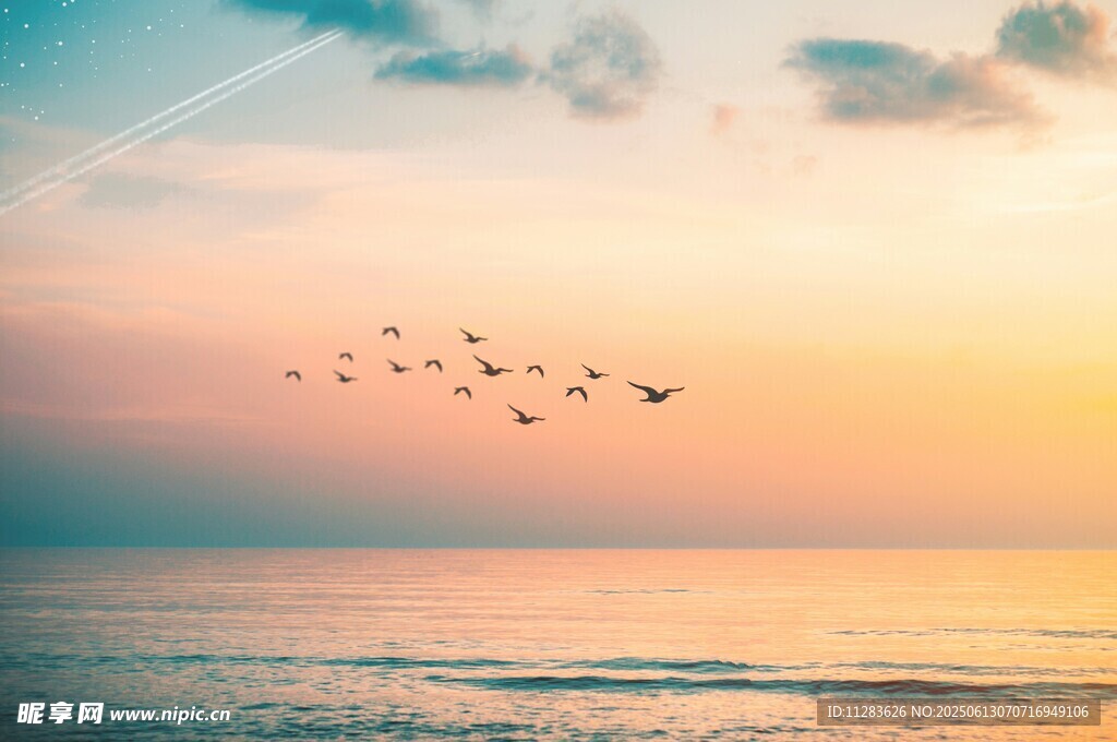 夕陽下飛鳥掠過海面