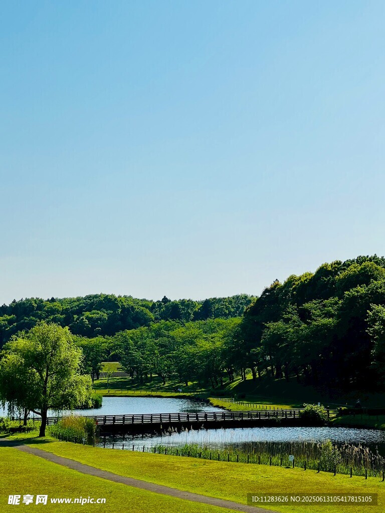 湖畔綠野風光