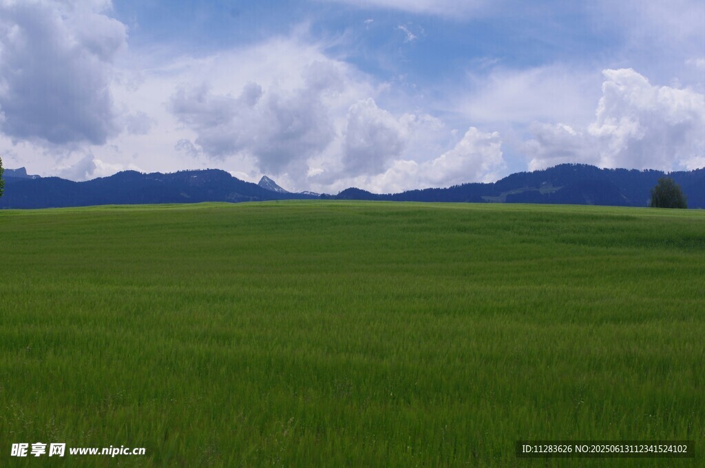 廣袤草原與遠處山巒