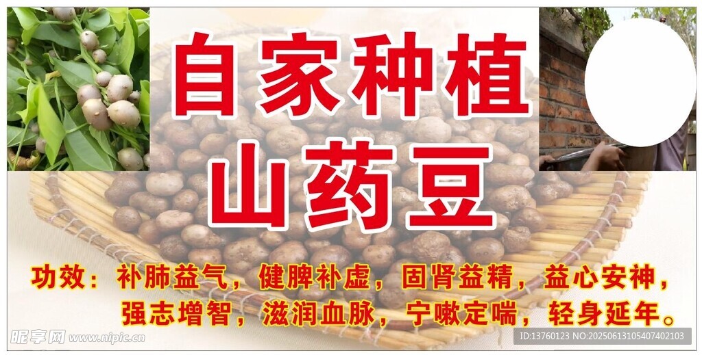 自家種植的美味山藥豆