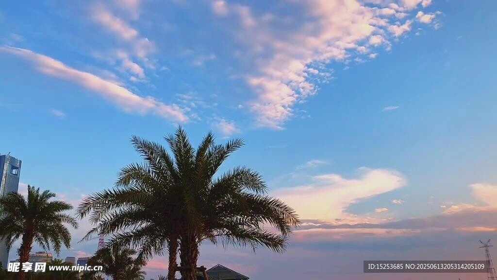 海邊椰樹與絢麗天空