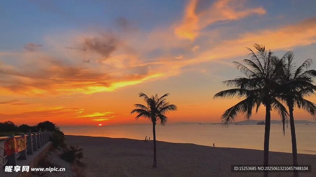 夕陽下的海邊棕櫚樹美景