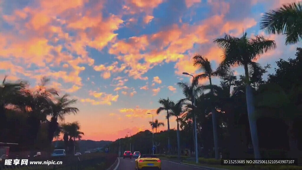 黃昏下的棕櫚樹街道美景