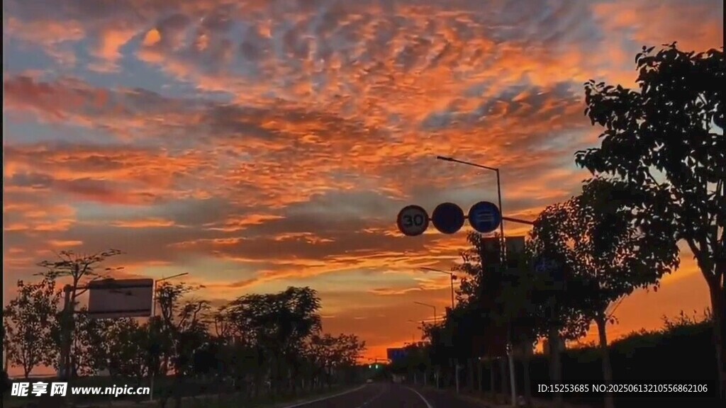 夕陽下的樹木與絢麗云彩
