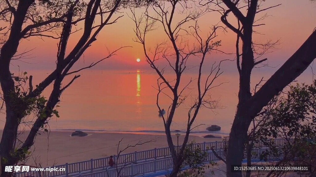 夕陽下的樹木與遠(yuǎn)方海景