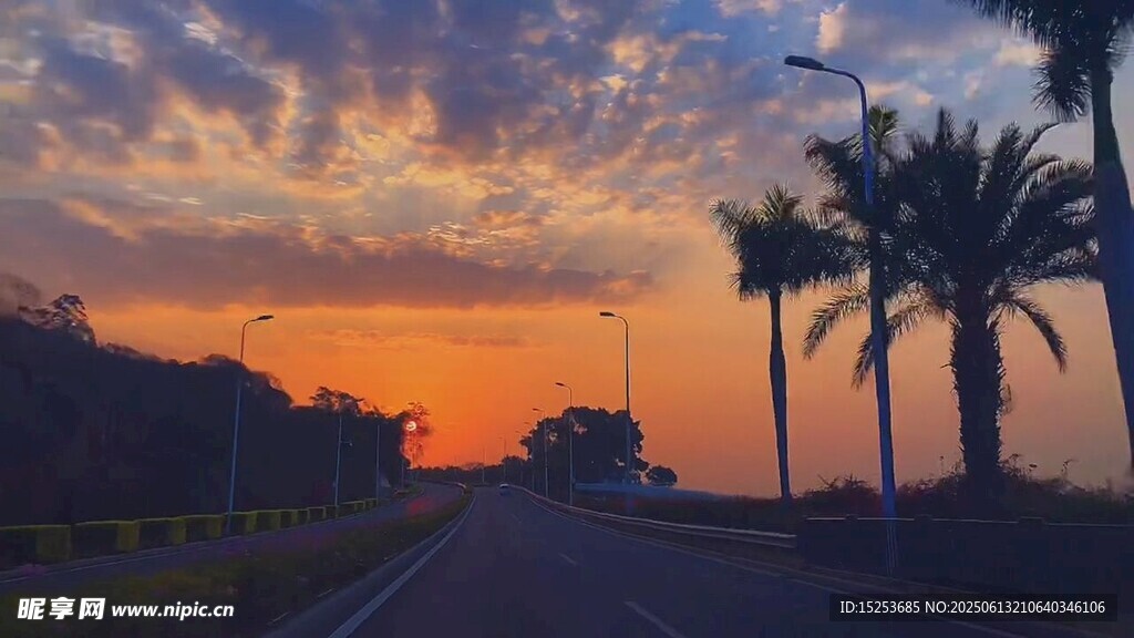 夕陽下的公路與棕櫚樹