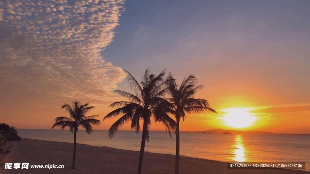 海邊日落與椰樹美景