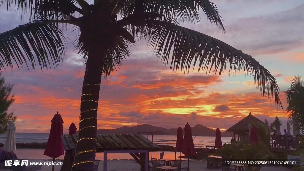 夕陽下的棕櫚樹海濱美景