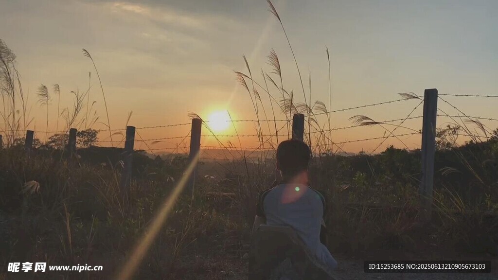 夕陽下田野中的孤獨身影