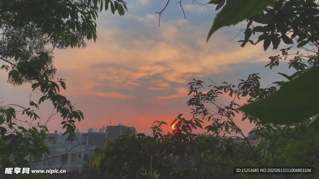 夕陽透過枝葉的城市美景