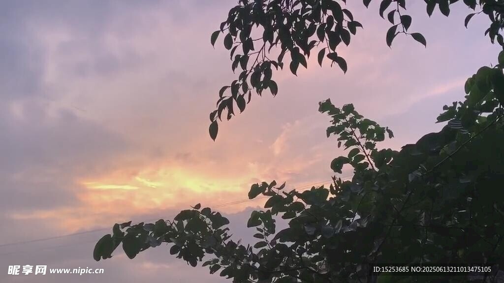 黃昏時分的樹梢與天空