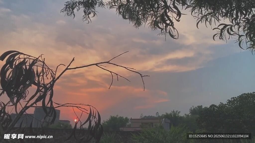 夕陽下的樹梢與絢麗云彩