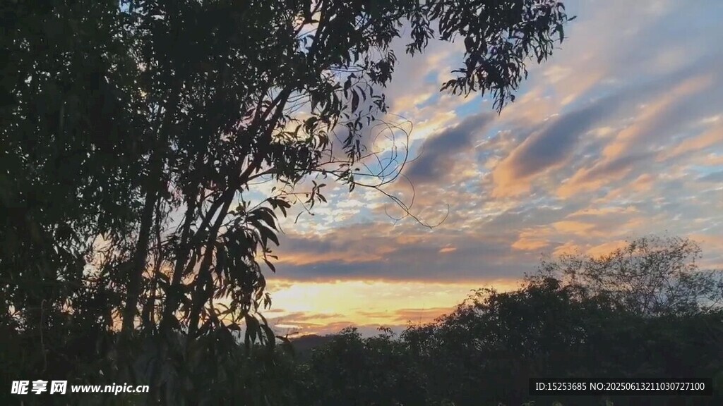 黃昏時(shí)分樹(shù)林間的絢麗天空