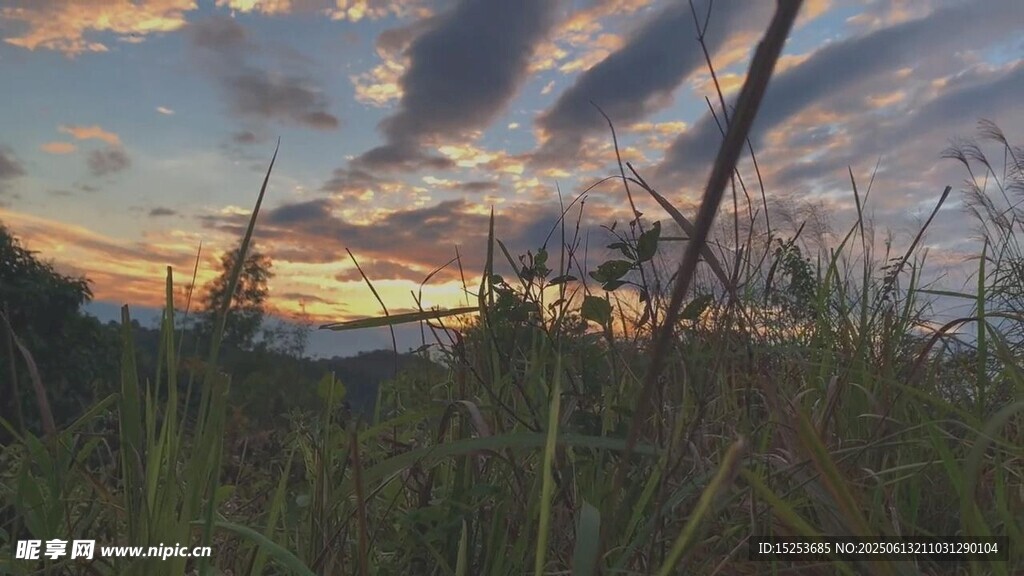 黃昏下的草地與絢爛天空