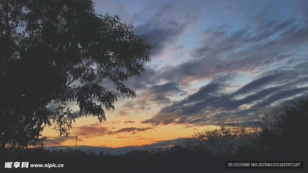 黃昏時分的天空與樹木景色