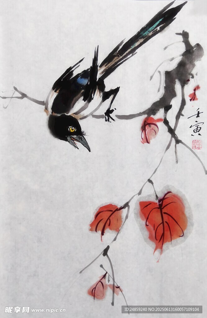 喜鵲