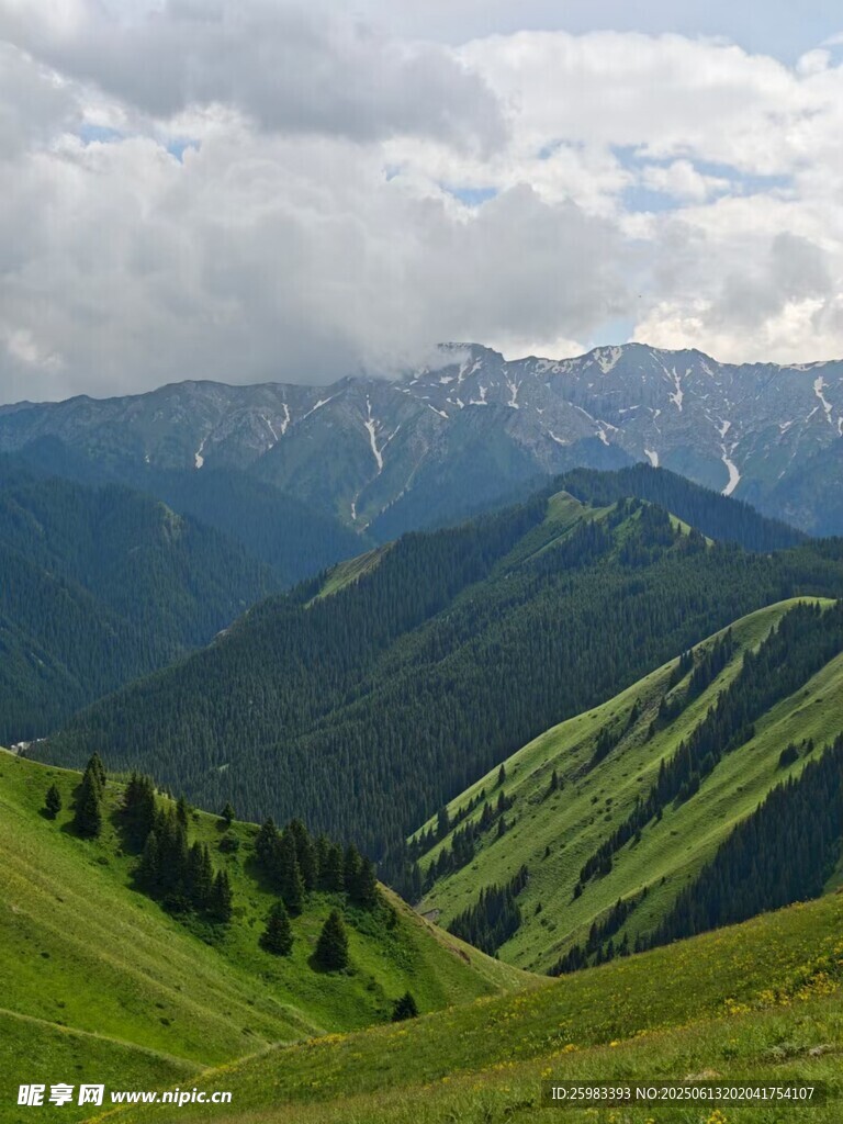 青山