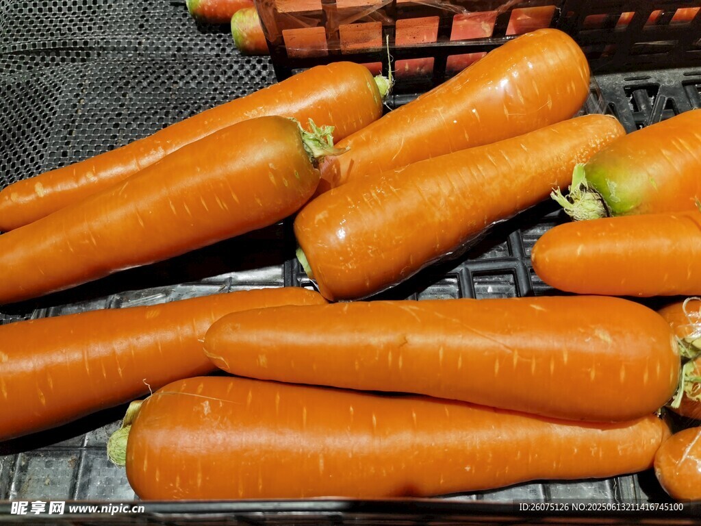 新鮮胡蘿卜整齊擺放
