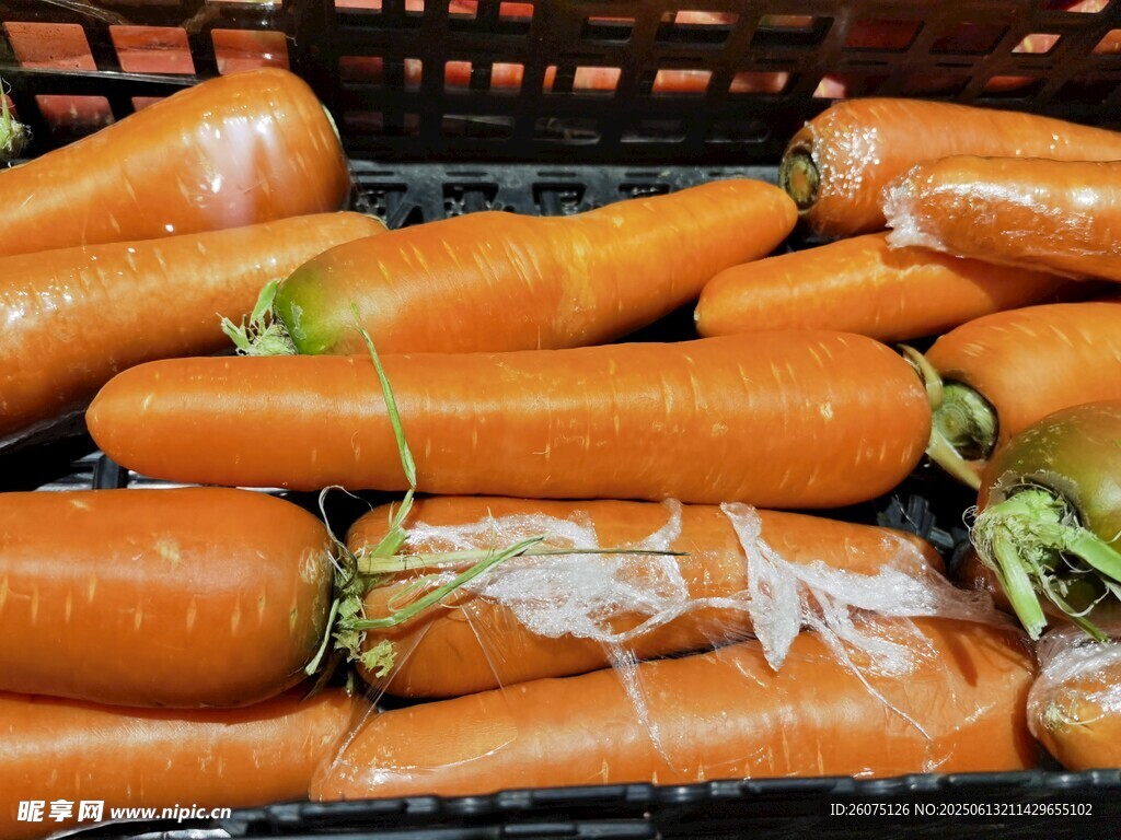新鮮胡蘿卜整齊擺放