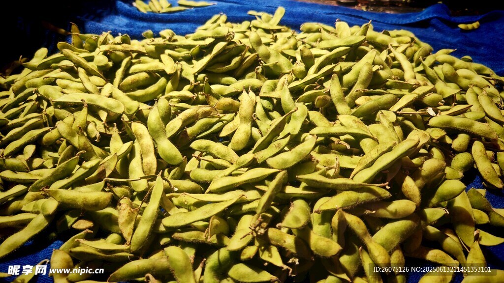 大量鮮黃色豆角堆成小山