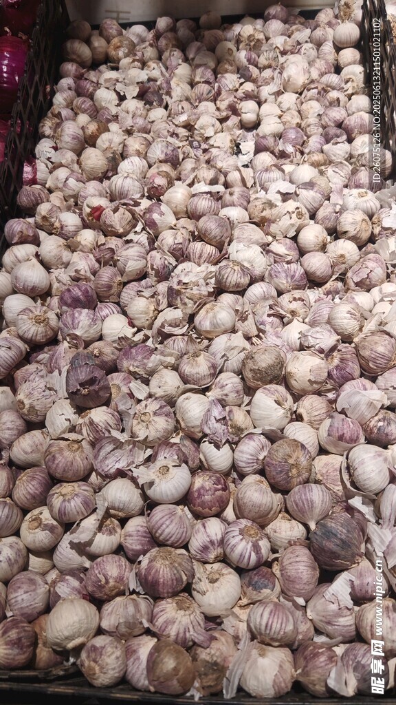 大量新鮮大蒜堆放在一起