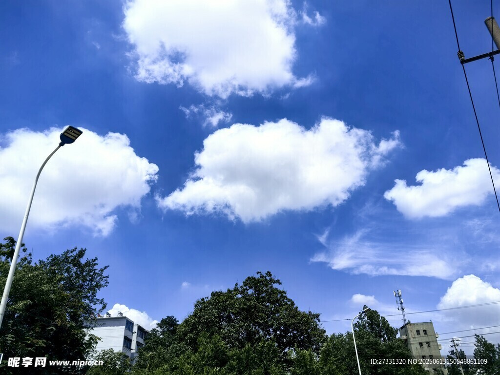 藍天白云下的綠樹與路燈