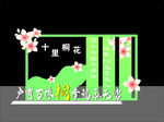 桐花打卡點(diǎn)