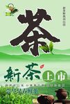 新茶上市