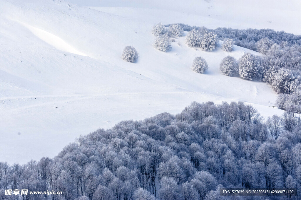 冬日雪覆山林美景