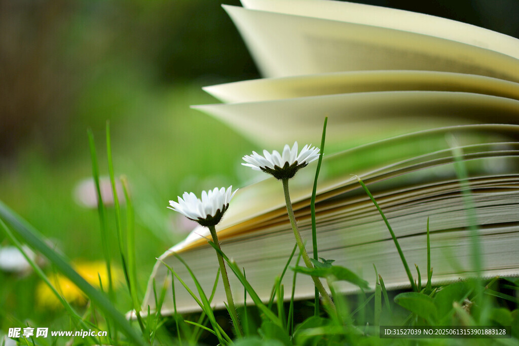 草地上的書
