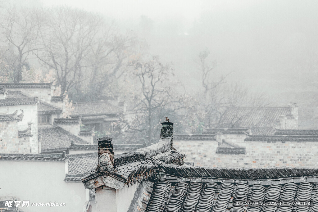 雪覆古村屋頂美景