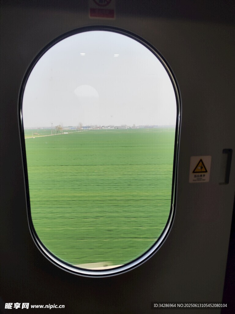麥田
