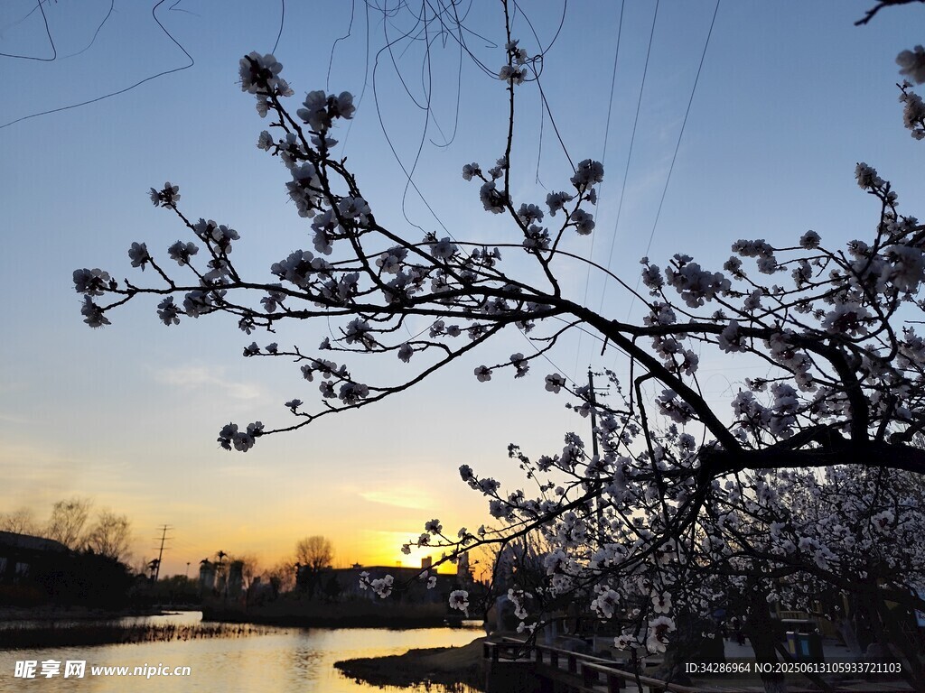 夕陽(yáng)