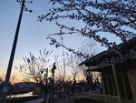 夕陽