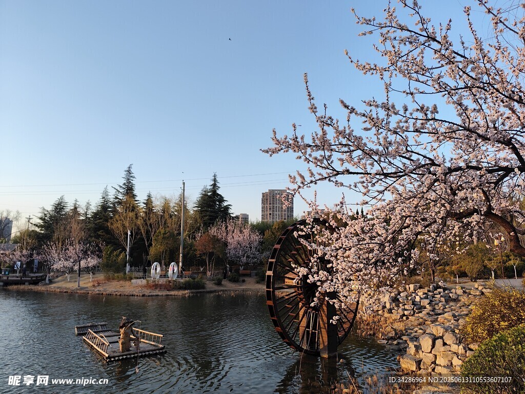 春日湖景