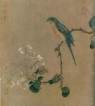工筆畫(huà)鳥(niǎo)圖