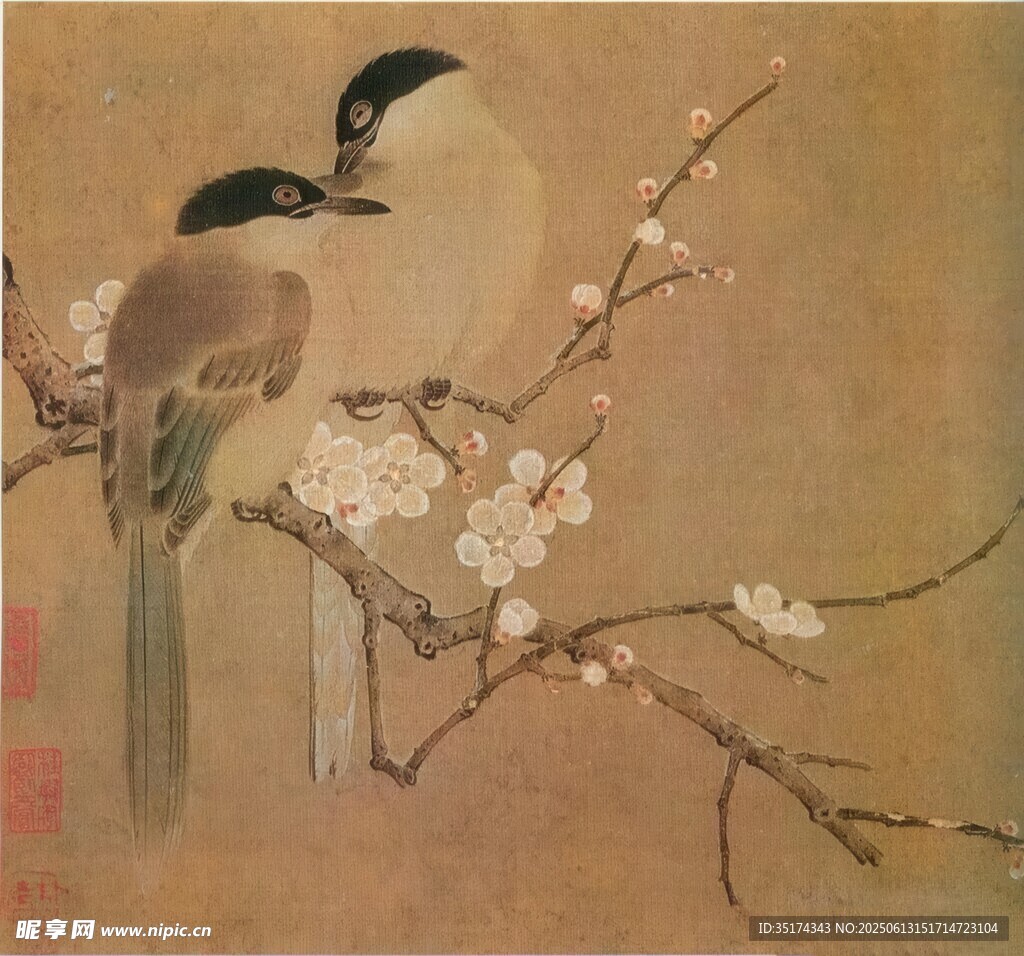 工筆畫雙鳥圖
