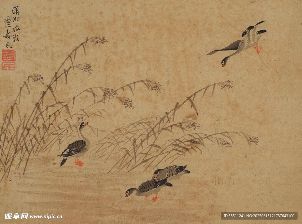 古畫中的禽鳥與蘆葦