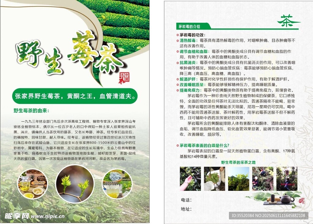 茶宣傳頁