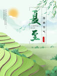 夏至時節的田園風光