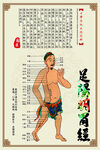 穴位 中醫 經絡 海報 掛圖