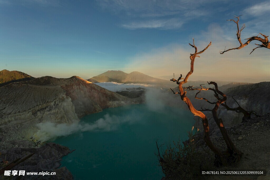 火山湖畔枯樹景觀