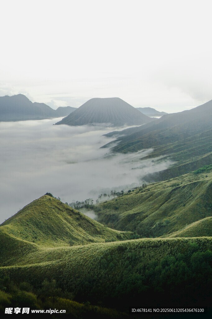 山間云海環繞的翠綠景致
