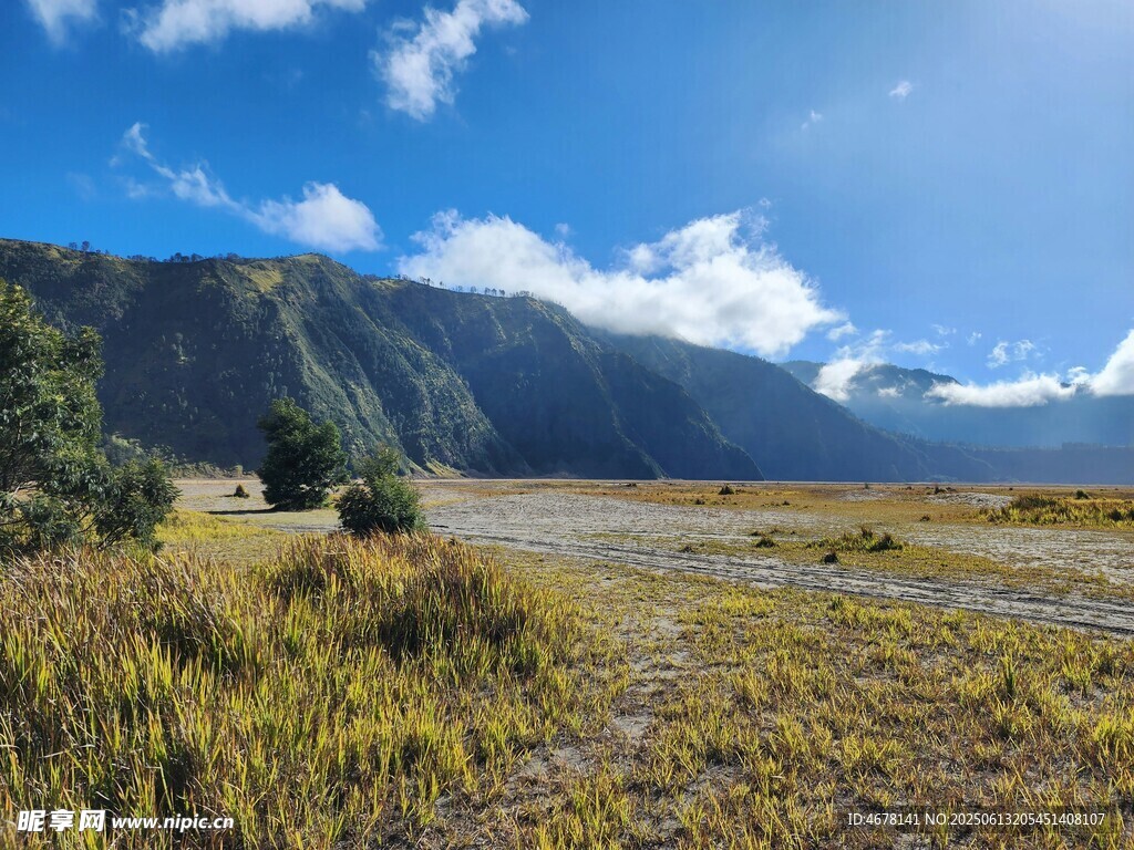 廣袤原野與遠處山巒美景