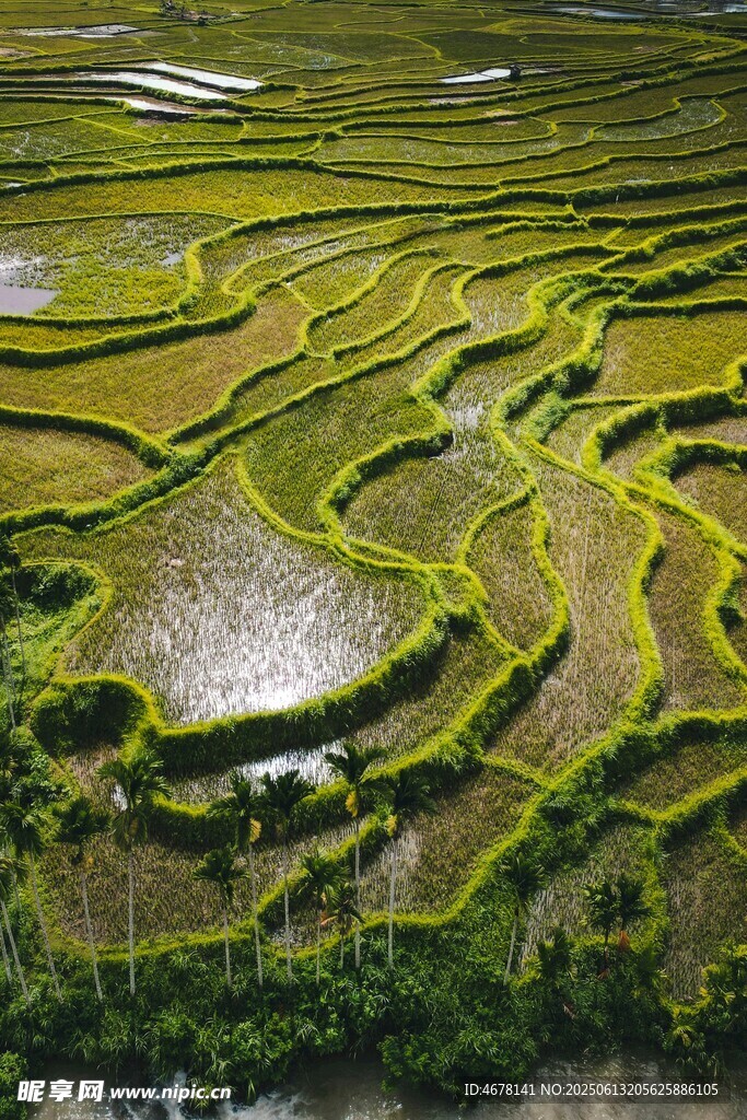俯瞰美麗梯田景觀